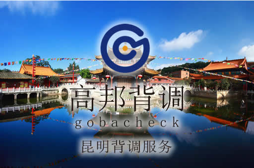 昆明背调服务