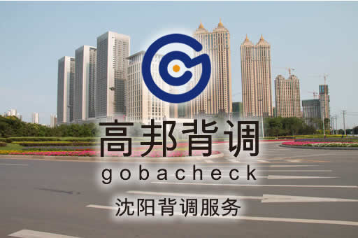 沈阳背调服务
