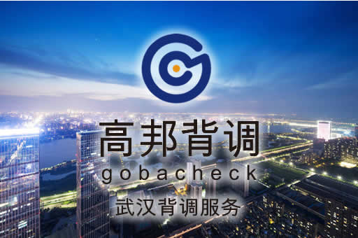 武汉背调服务