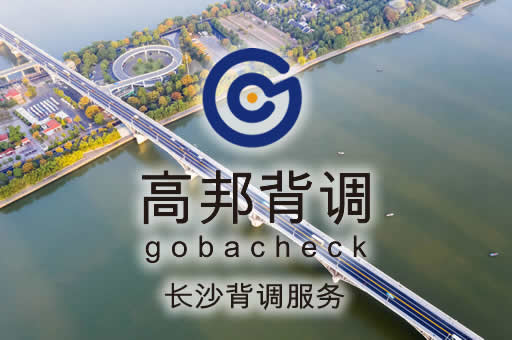 长沙背调服务