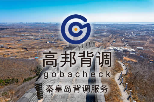 秦皇岛背调服务
