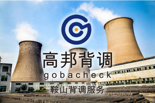 鞍山背调服务
