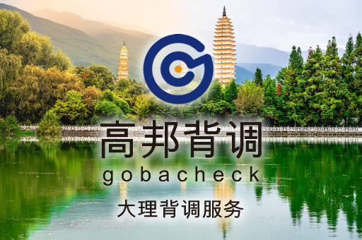 大理背调服务