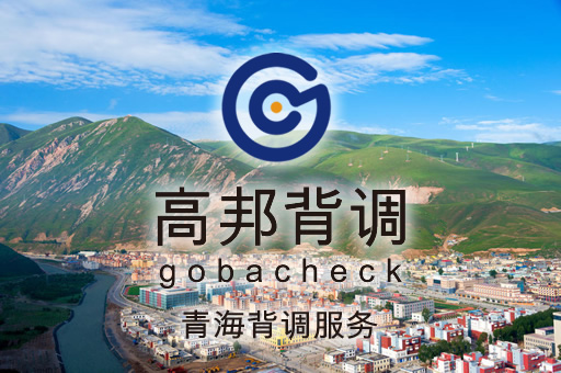 青海背调服务