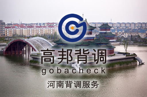 河南背调服务